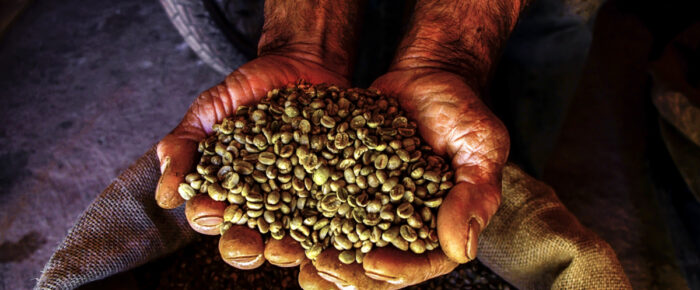 BRAZÍLIA -Po stopách kávových barónov. Reportáž z kávovej plantáže.